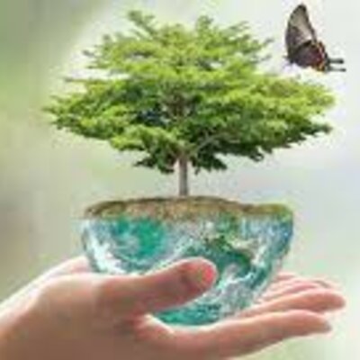 Timeline:  La política ambiental en Colombia durante los últimos 35 años