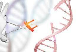 Første genredigerte barn blir født