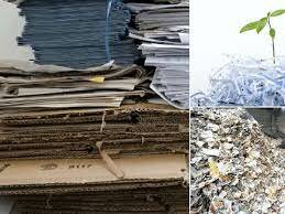 Papel con Pasta de arbol