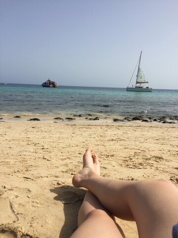 Visiting the canary islands