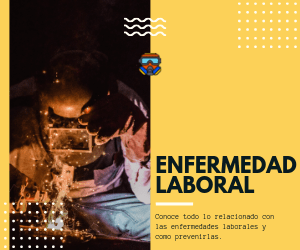 Decreto 2566 de 2009