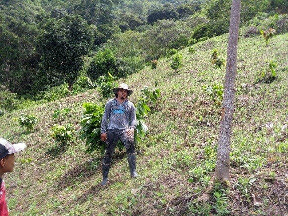 Proyectos productivos