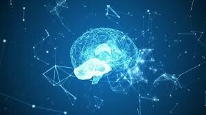 desarrollo método experimental