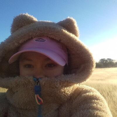 Timeline: MI VIDA EN LAS INSTITUCIONES EDUCATIVAS