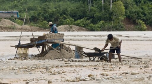 Migración a la Selva