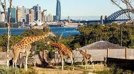 Timeline: Taronga Zoo