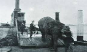 Animals were moved from Moor Park to Taronga Zoo