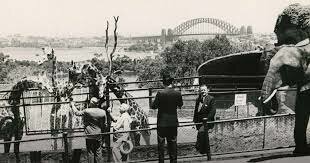 Taronga zoo was granted more land