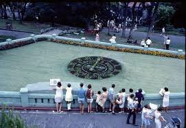 Floral clock completed