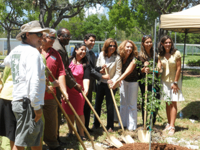Miami Dade County Tree Summit