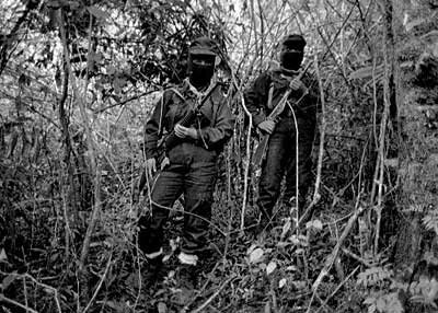 ORGANIZACIÓN GUERRILLERA MODERNA EN MÉXICO