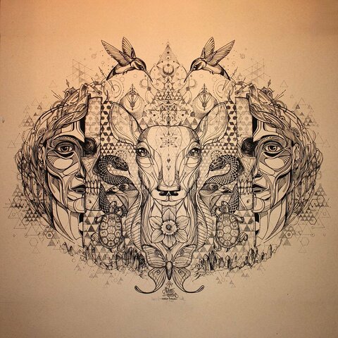 Aristóteles y la abiogénesis