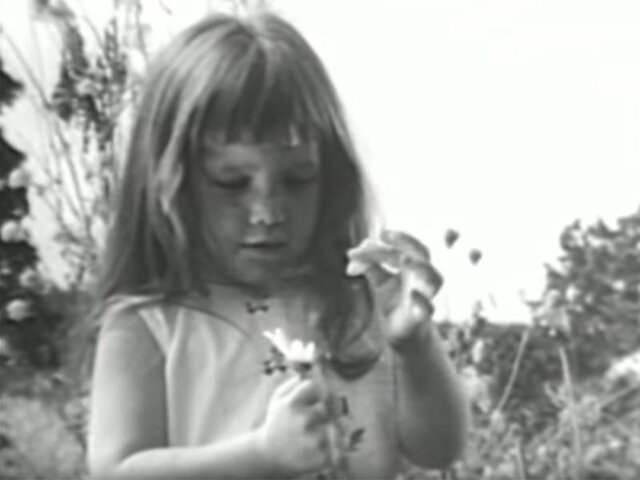 Ads such as Daisy ad created