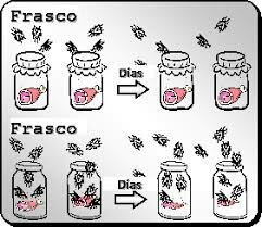 se invalida la teoría de la generación espontánea