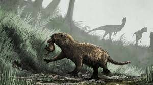 1st dinosaurs and mammals: 22:44