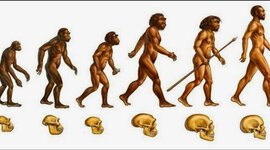 Timeline: El proceso de hominización (por: Jackson Batista)
