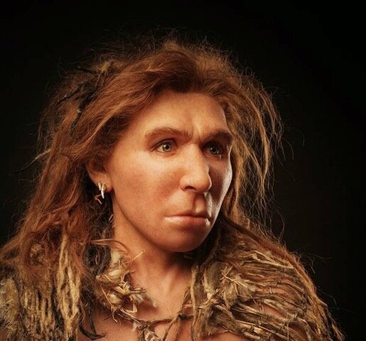 HOMO NEANDERTHALENSIS