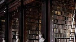 Timeline: Evolucion del Servicio de Referencia