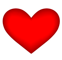 heart begins to beat