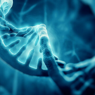 Timeline: Lineal de Tiempo de la Genética