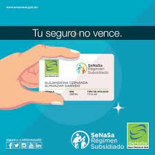 Regimen de Seguro