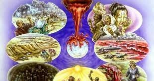 Moisés se hace escuchar por el faraón, y como este se niega a sus peticiones Dios libera las 7 plagas