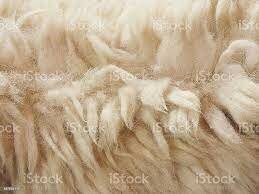 ARTES: ABRIGO A LA FAMILIA Y REVOLUCIÓN INDUSTRIAL