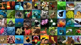 Timeline: LA CREACION DE LOS ANIMALES