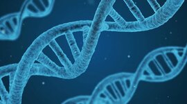 Timeline: Principales descubrimientos del DNA
