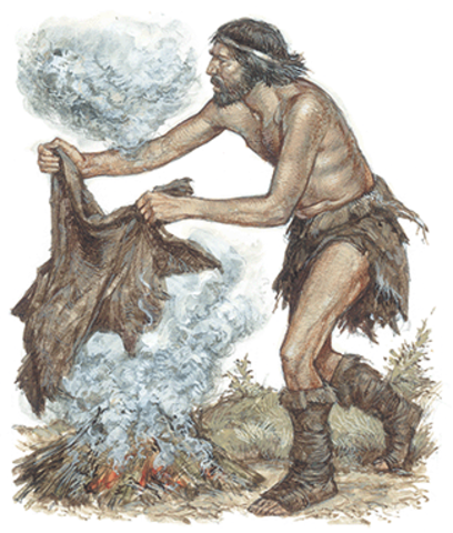 SEÑALES DE HUMO