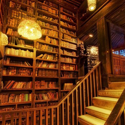 Timeline: Evolución de la bibliotecología