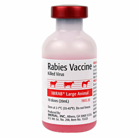 Rabies Vaccine