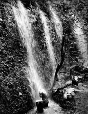 Jardines en Avenida San Jerónimo