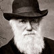 Charles darwin 1880