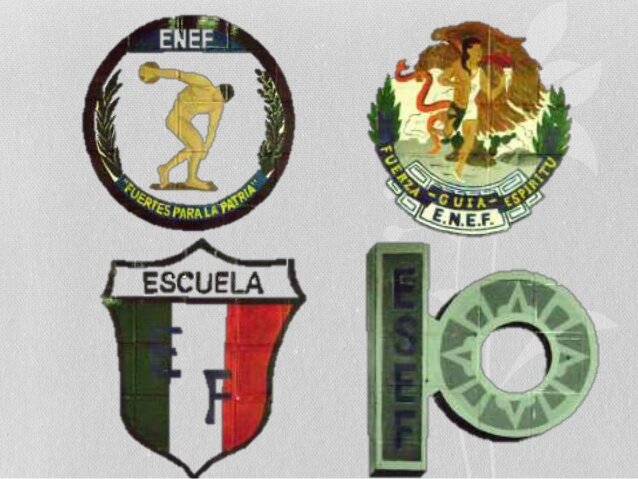 Creación de un departamento de educación física y de la escuela elemental de E.F