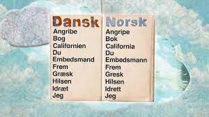 Dansk som skriftspråk