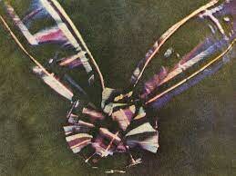 first full-color photographs