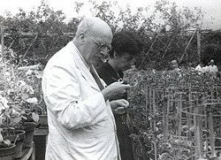 John B. S. Haldane (1929)