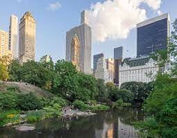 American Places : Central Park