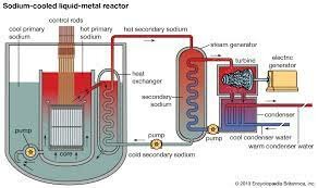 Liquid Metal Fast Breeder Reactor