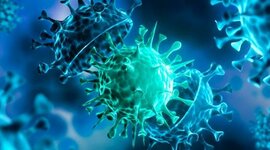 Timeline: Pandemia sobre COVID-19 9E