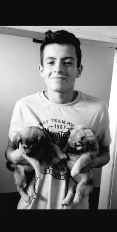 Llegan dos mascotas a mi familia