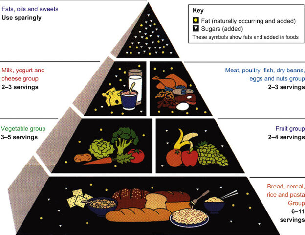 Food Guide Pyramid