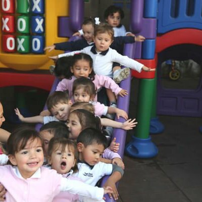 Timeline: BIO ESTUDIANTE ARELI ZAMORA