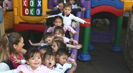 Timeline: BIO ESTUDIANTE ARELI ZAMORA