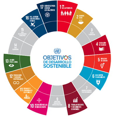 Timeline: LA HISTORIA DE LOS ODS