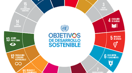 Timeline: LA HISTORIA DE LOS ODS