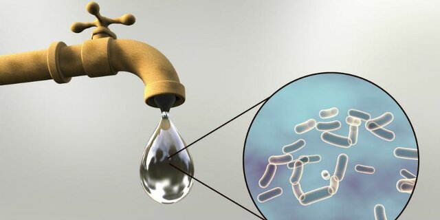 Tuberculosis y la Fiebre Tifoidea