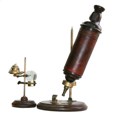 Microscope de Hooke