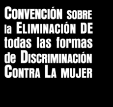 Los países miembros de la ONU firmaron sobre la Eliminación de Todas las Formas de Discriminación contra la Mujer.